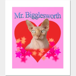 Mr. Bigglesworth (Dr Evils Cat) Tribute Posters and Art